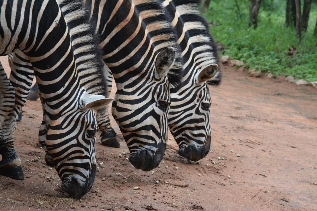 515 On Warthog By The River Marloth Park Esterno foto
